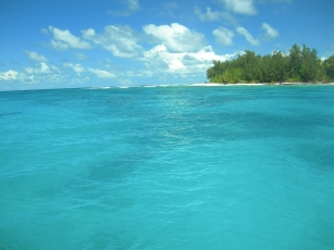 seychelles bird island